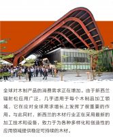 走进新西兰林业(第三集)