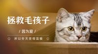 捐衣圆梦|将爱连接远方——白鲸鱼
