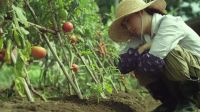 拒绝内卷，疗愈生活！2021年度压轴艺术盛宴即将在大湾区启幕