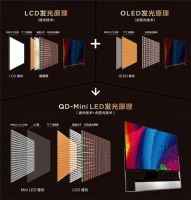 大屏时代到来：豪门新贵Mini LED登上主流舞台