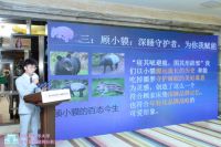 顾家家居携手清华大学深化体育营销 加速品牌年轻化