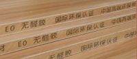 新房除甲醛最管用的方法 不是内行人根本不知道这样做