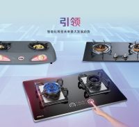 加盟火王智能灶-集成灶赛道新风口开始兴起