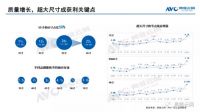 98英寸超大屏由中国品牌唱主角！TCL代表国货拿下冠军