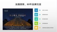 法国美斯华丽蜕变,建筑涂料诚招城市合伙人