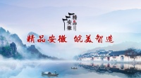 品牌建设推动制造业“能级之变”，助力企业创建“专精特新”