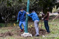 森林之星与ZARA携手，共促绿色发展！