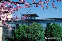 森林之星与ZARA携手，共促绿色发展！