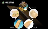 伟业牌五极OSB：选购OSB，4个步骤辨优劣