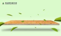 伟业牌五极OSB：选购OSB，4个步骤辨优劣