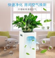 新房急入住甲醛怎么处理 新装修一个月能入住吗