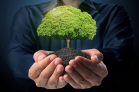 这3种除甲醛方法过时了 提醒你及时避开，别踩坑