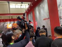 瓷砖市场的“奔跑者”，大角鹿双12销量领先