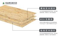 伟业牌五极OSB：多重优势，给你100%安心感