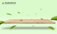 伟业牌五极OSB：无瑕品质，OSB中的实力派