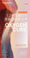 焕然“隐”新，以实力“赢”未来