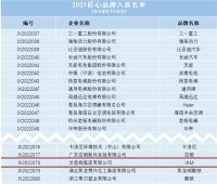 IAM入选2021匠心品牌评价榜单