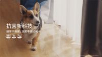 拉开健康新生活 窗帘行业的情感片“卷”起来了