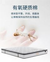 腰痛人的春天！东宝床垫让你的脊椎睡一觉