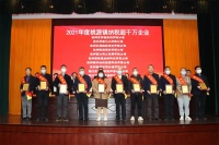 大卫地板获桃源镇纳税超千万企业等7项殊荣