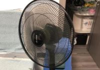 拒绝除甲醛焦虑，赶紧用这几招除甲醛，效果超棒