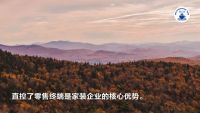 2022家装深度观察NO.29：所有的路都指向掌控终端