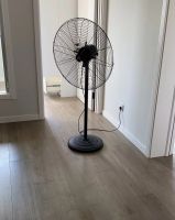 除甲醛最有效方法？关于新房去甲醛，看这篇就够了！