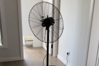 新房放绿植除甲醛是鸡肋还是助攻？带你一探究竟