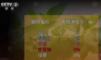 新房放绿植除甲醛是鸡肋还是助攻？带你一探究竟