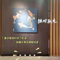 哭惹!能取电的艾宝沃踢脚线电力轨道我还是第一次见!