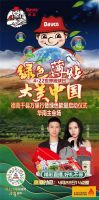 绿色薄贴，大美中国| 工艺，西卡德高在行动