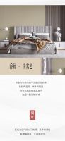 【领绣·菁华】春夏新品《王者宣言37》香屑，色彩诠释空间的多变性