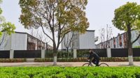 设计师雅雅 | 用设计回应更广阔的世界