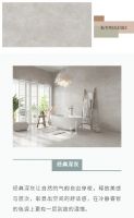金科双品石 | 硬核性能打造新一代大理石瓷砖