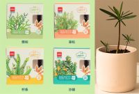 教育部官宣中小学生要学种菜！快利用得力文具整活起来~