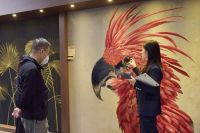 领绣墙布与天猫达成家装本地化战略合作，吹响行业百亿冲锋号