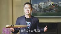 派雅门窗启动520超级品牌日，开启深舒适人居新时代