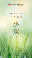 盈而未满｜小满时节品质门窗官宣海报大赏