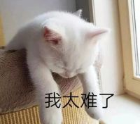 时间很急，美味告急！幸好有佳歌A6DZK蒸烤独立集成灶！