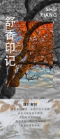 【领绣·菁华】舒香印记丨清丽脱俗的宝藏空间