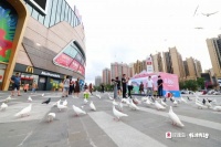 玫瑰岛淋浴房行业首创有沐有泡 新品快闪出圈
