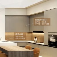 中国爱厨日|家居行业首位虚拟人金婵紫直播首秀，创新营销场景，共探理想美好家！