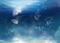 沉浸式蓝色调，安静的浪漫更治愈