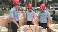太阳电线哪种好？太阳FZ辐照防火电线守护家居用电安全