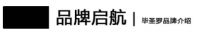 無与伦毕·YAO未来 BISARO毕圣罗门窗佛山总部营销中心盛大开业