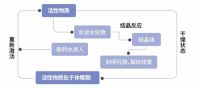 “不一样的防水涂料”，东方雨虹“PCC-501 水泥基渗透结晶型防水涂料”
