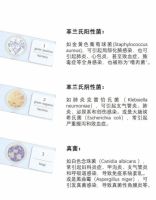 儿童床垫挑选9大避坑指南四：⑭主流抑菌儿童床垫有哪些？