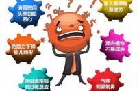 还在住甲醛房？学会这急招除甲醛，家具再多也不怕超标