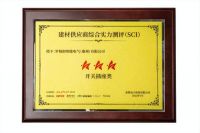 小开关蕴藏大实力 罗格朗荣获采筑SCI“三星供应商”