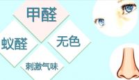急入住怎么除甲醛有效？这篇通通告诉你！